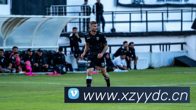 D体育在线官网 - D体育(中国)平台生态图